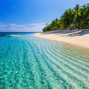 Fiji Island 